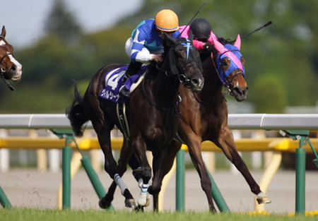 クラシック 競馬】相棒・内田博幸騎手が回想する「ヴィルシーナ物語」 web | コレクション